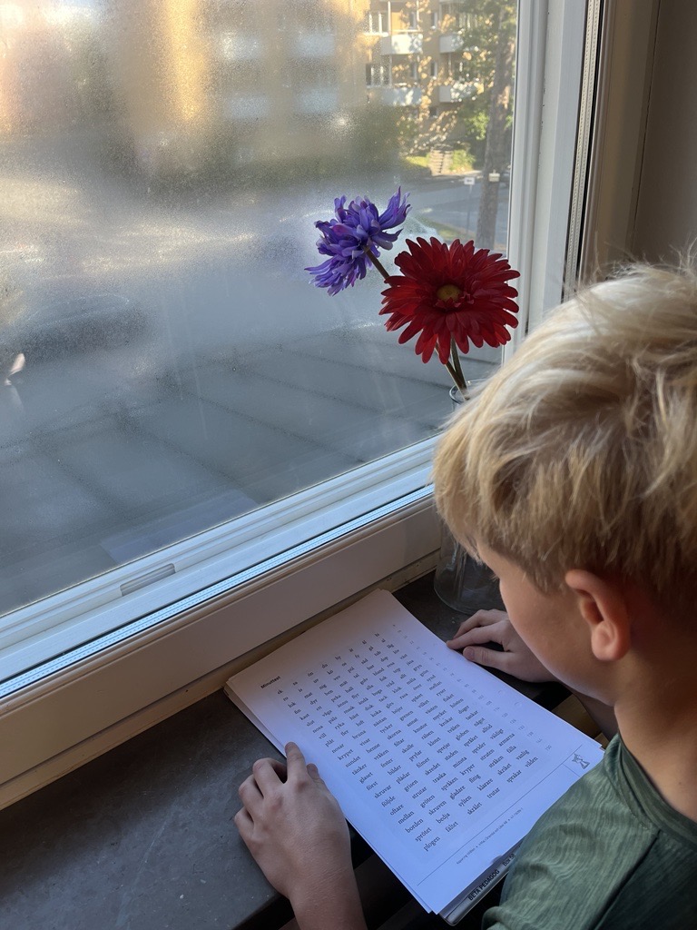 Intensivläsning i helklass – åk&nbsp;4